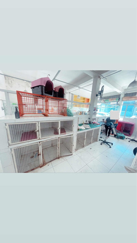 Imagem 3 de 8 de Vendo Pet Shop Zona Leste