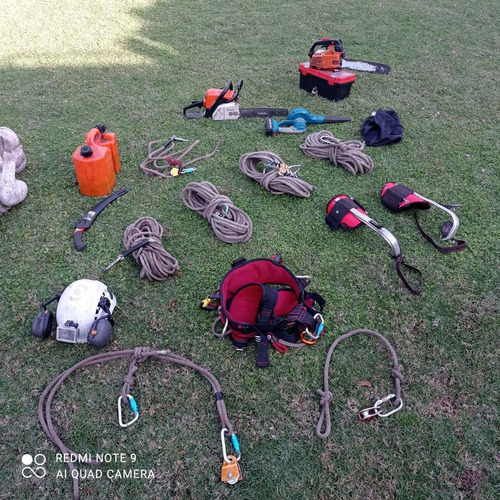 Imagen 8 de 10 de Poda De Arboles, Palmeras, Extracciones De Raiz