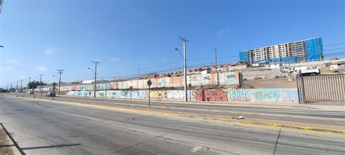 Imagen 1 de 8 de Sitio En Venta En La Serena