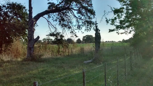 Imagen 8 de 9 de Campo En Gral. Madariaga