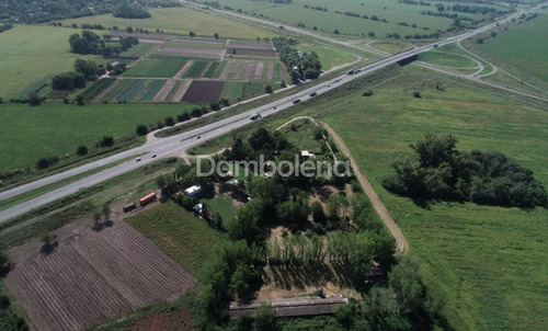 Imagen 2 de 8 de Terreno Campo En Venta O Permuta Ubicado En General Rodríguez, G.b.a. Zona Oeste