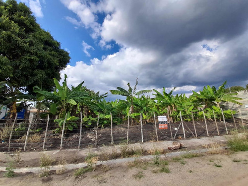 Licey Al Medio Se Venden Solares Desde 696metros Hasta 250