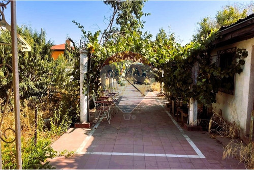 Precio Rebajado - Gran Patio
