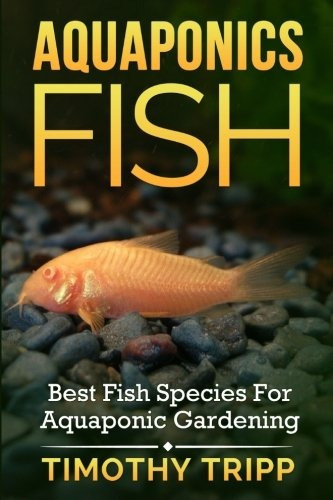 Aquaponics Fish Best Fish Species For Aquaponic Gardening