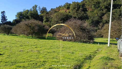 Naturaleza | Tranquilidad | Casablanca