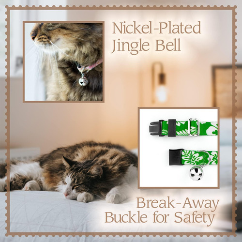 Collar Para Gato Country Brook Petz Pride - Para Mayor Durab
