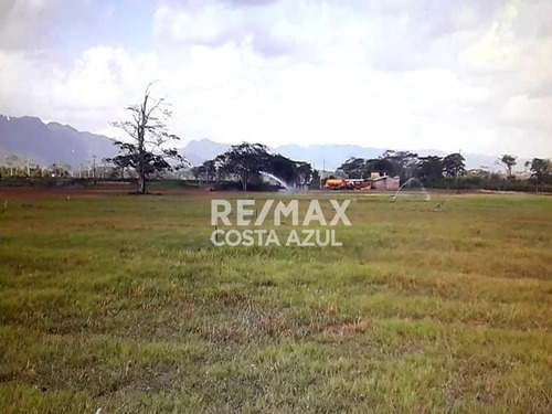 Imagen 6 de 15 de En Venta Finca De 45 Hectáreas De Terreno Plano, A Orilla De Carretera En El Alto, Yaracal.