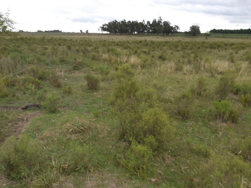 Imagen 7 de 13 de Chacras De 3 Has En Venta En Ruta 40 Kilometro 92.500 A 17 Km De Tala Maravilla De Cañada Chury