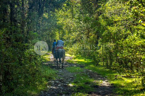 Imagen 9 de 25 de 21609 - Fundo Valle Escondido, Yelcho Chico