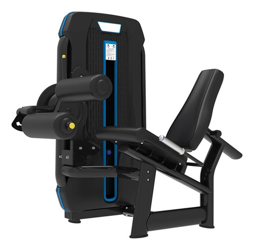 Serie Stz X60 Curve X6055 Leg Extension & Curl 130 Kg Stack