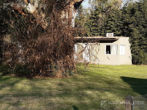 Imagen 7 de 22 de Mosquera Y Gallastegui Venta Financiada Casa-quinta En Benavidez 4100 Metros De Terreno