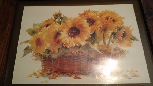 Cuadro De Arte Lamina De Girasoles 55x70 Cm