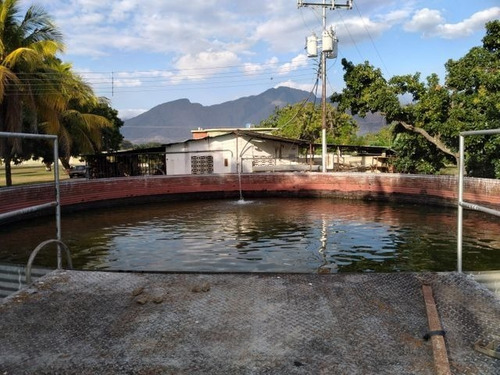 Imagen 9 de 30 de Joselyn Vargas Vende Finca Avicola En Vigirima 22-12944