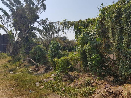 Terreno En Venta Yautepec