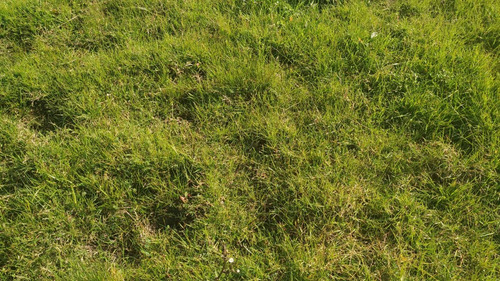 Imagen 7 de 11 de Campo Agroecológico 30 Has En Venta En El Peligro, Calle 420