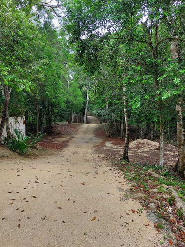 Lote Residencial Ecológico En Venta En  Km 17  Coba-tulum (1288)