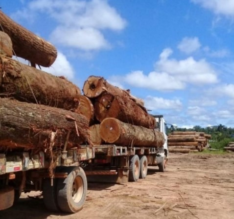 Imagem 14 de 14 de Fazenda Com 101.000 Hectares No Norte Do Brasil