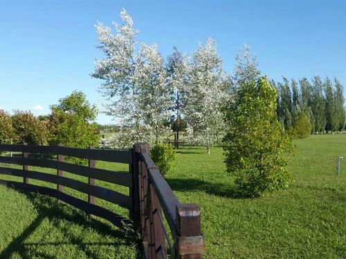 Terreno En Venta, Luján 