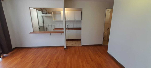 Alquila Departamento Cond. Rio Aconcagua (91904)