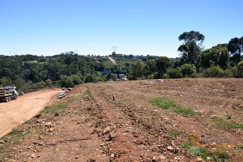 Imagem 6 de 12 de Terreno À Venda, 426 M² Por R$ 221.600,00 - São Luiz - Caxias Do Sul/rs - Te0087