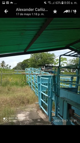 Imagen 4 de 30 de Finca 220 Ha Privadas, Estado Apure