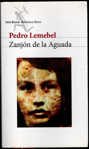 Zanjón De La Aguada Pedro Lemebel.