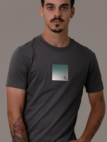 Polera Metallic Box Gris Calvin Klein