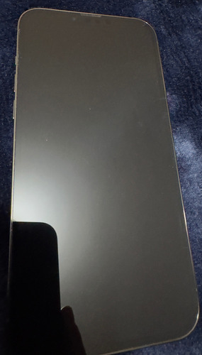 Apple iPhone 13 Pro Max (256 Gb) - Grafito (Usado)