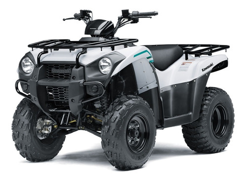 Imagen 2 de 8 de Kawasaki Brute Force 300 2022