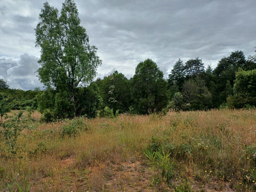 Parcela En La Reserva De Frutillar Naturaleza, Exclusivida