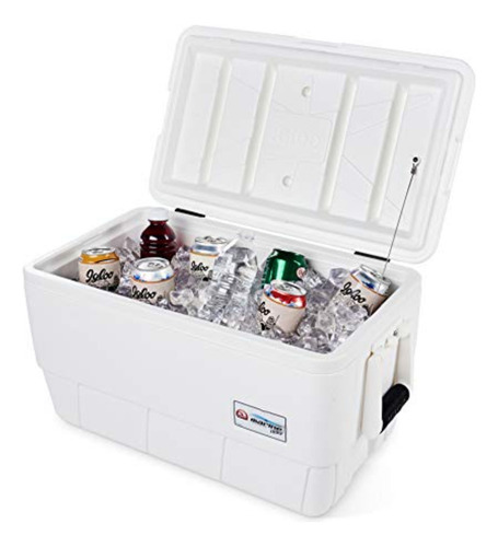 Hielera 36 Qt Marina Contour Blanca Igloo
