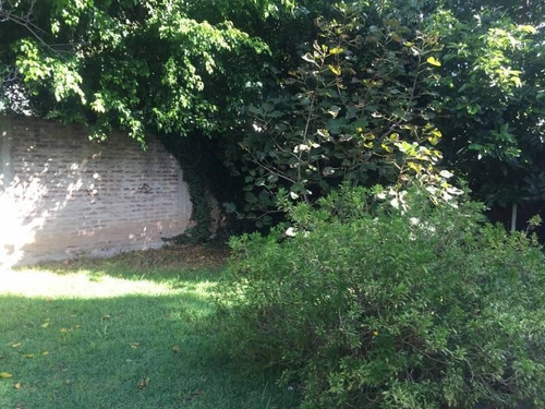 Imagen 6 de 15 de Terreno Lote En Alquiler En San Isidro, G.b.a. Zona Norte, Argentina
