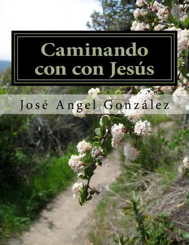 Caminando Con Con Jes S, De Jose Angel Aviles Gonzalez. Editorial Createspace Independent Publishing Platform, Tapa Blanda En Español