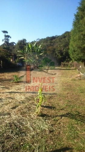 Imagem 10 de 13 de Terreno - Ref: 3271 - V-3271