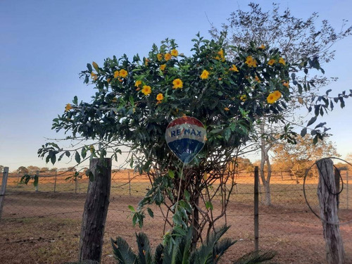 Imagem 17 de 18 de Fazenda Á Venda - Alto Boa Vista - Fa0005