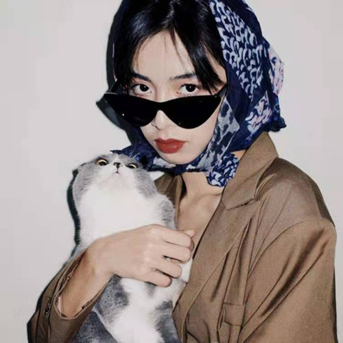 Gafas De Sol Estilo Ojo De Gato Retro De Moda Para Mujer