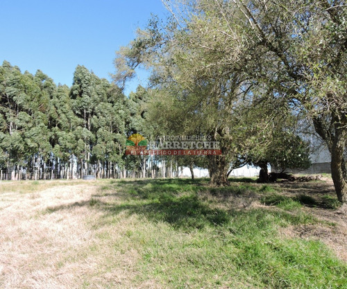 Campo En Venta 18 Has Canelones, Con Todas Las Instalaciones!