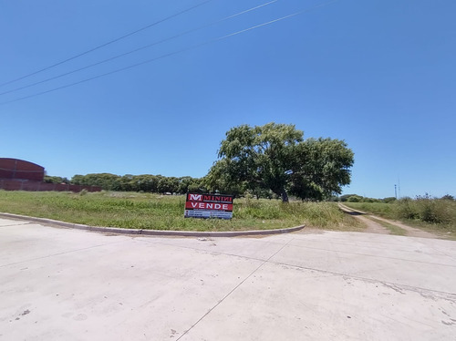 Gran Loteo En San Bernardo, Sobre Colectora!