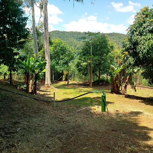 Imagem 8 de 11 de Chácara Mairinque C/ Condições Facilitadas