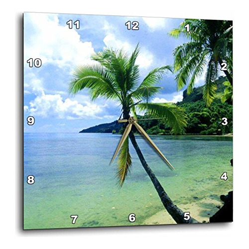 Dpp_1205_3 Reloj De Pared Tropical Paradise, 15 X 15 Pu...