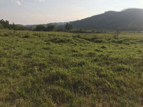 Imagem 8 de 10 de W36-lotes Com Topografia Plaina