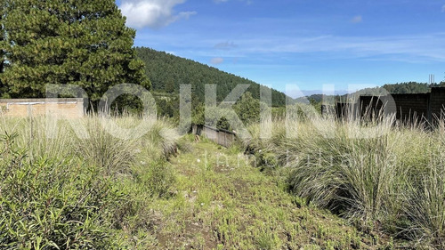 Imagen 7 de 27 de Terreno En Venta Salazar, Estado De México