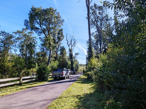 Parcela En Condominio Los Riscos, Con Acceso A Lago