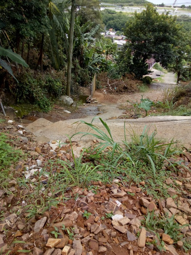 Casa A Venda No Bairro Costeira Do Pirajubaé Em Florianópolis