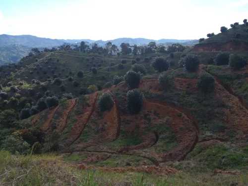 Finca En Venta En Granada. Cod V12640