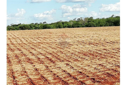 Vendo 19 Hectáreas En Colonia Paraná, Cambyreta.