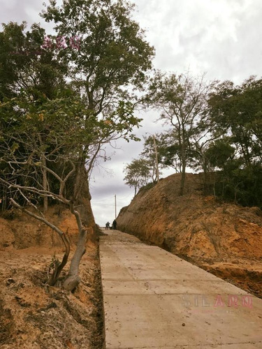 Imagen 12 de 30 de Terreno - Ita Ibate Corrientes Punta Gallino
