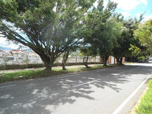Imagen 2 de 7 de Terreno 2000mts Av. España P. Nvo.