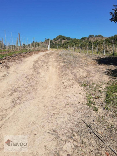 Sítio À Venda, 30000 M² Por R$ 1.200.000,00 - Chácaras Videiras De Itaici - Indaiatuba/sp - Si0004