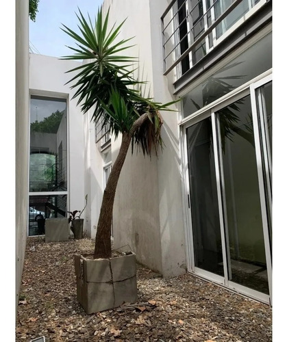Edificio Corporativo Zona Parque Rodo